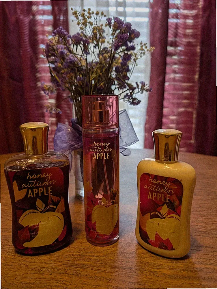 Bath & Body Works HONEY AUTUMN APPLE 3-Pc Set - Mist, Lotion, Gel - RARE Retired